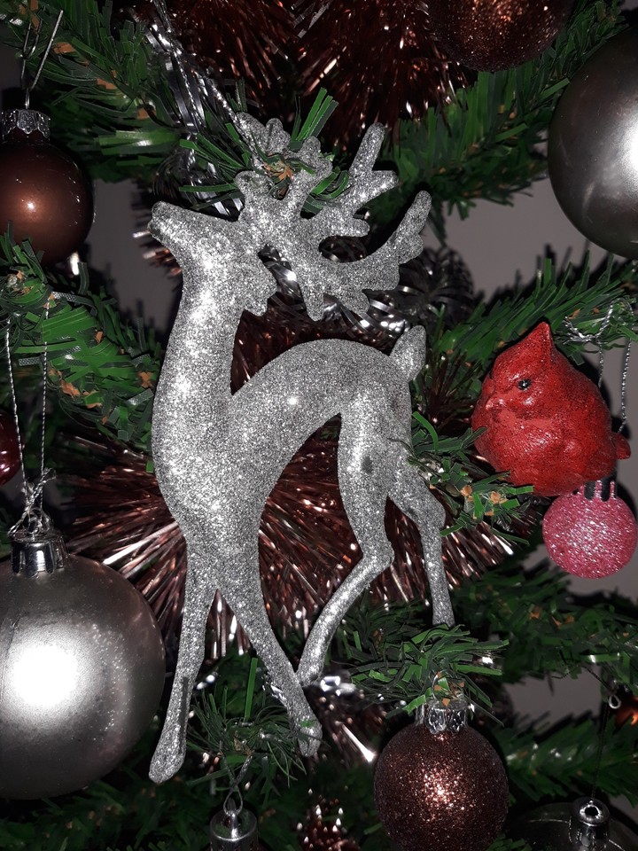 Reindeer