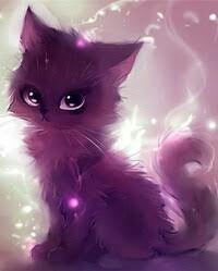 Тёмный кот...