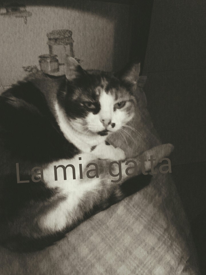 inca