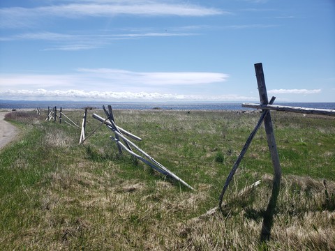 old fence