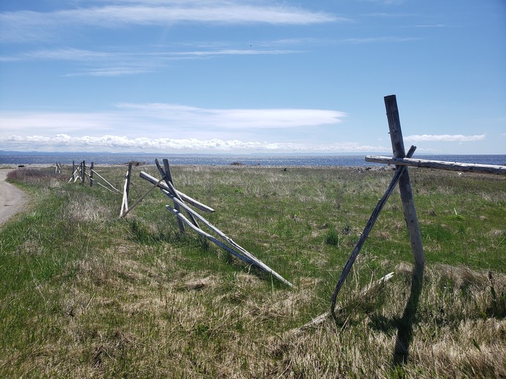 old fence