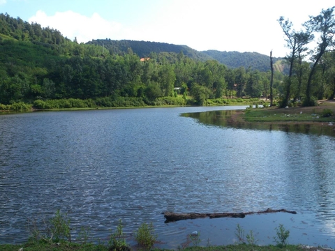ταπετσαρίες lake, tree