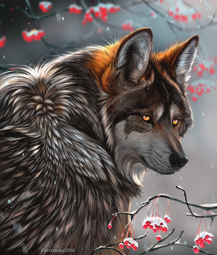 Wolf