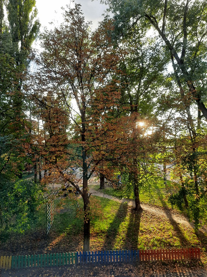 Nature