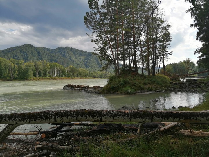 Катунь