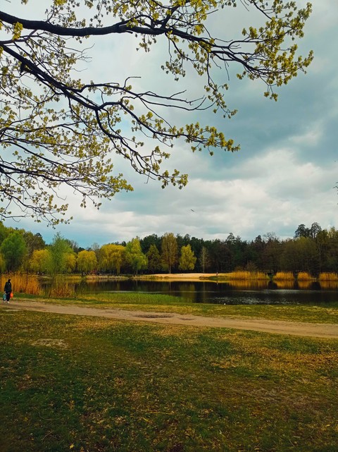 hình nền lake, Bank
