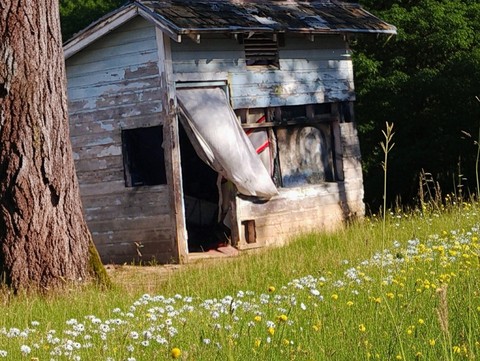 hut, Roof háttérképek