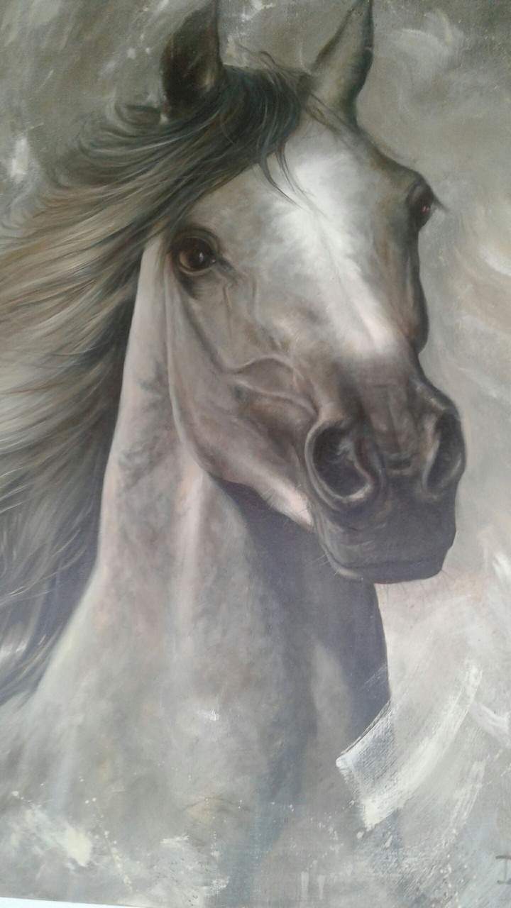 caballo