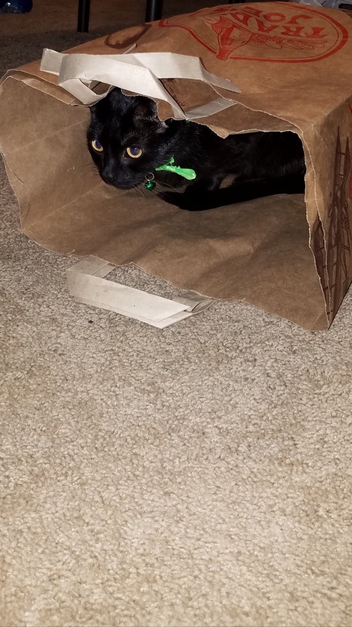 Day 2: grocery inspector