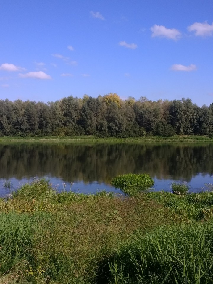 гладь воды