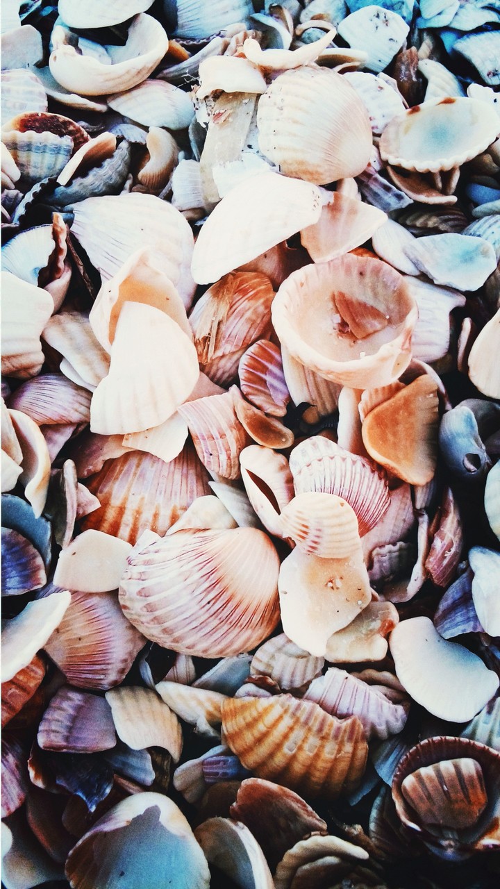 Texture