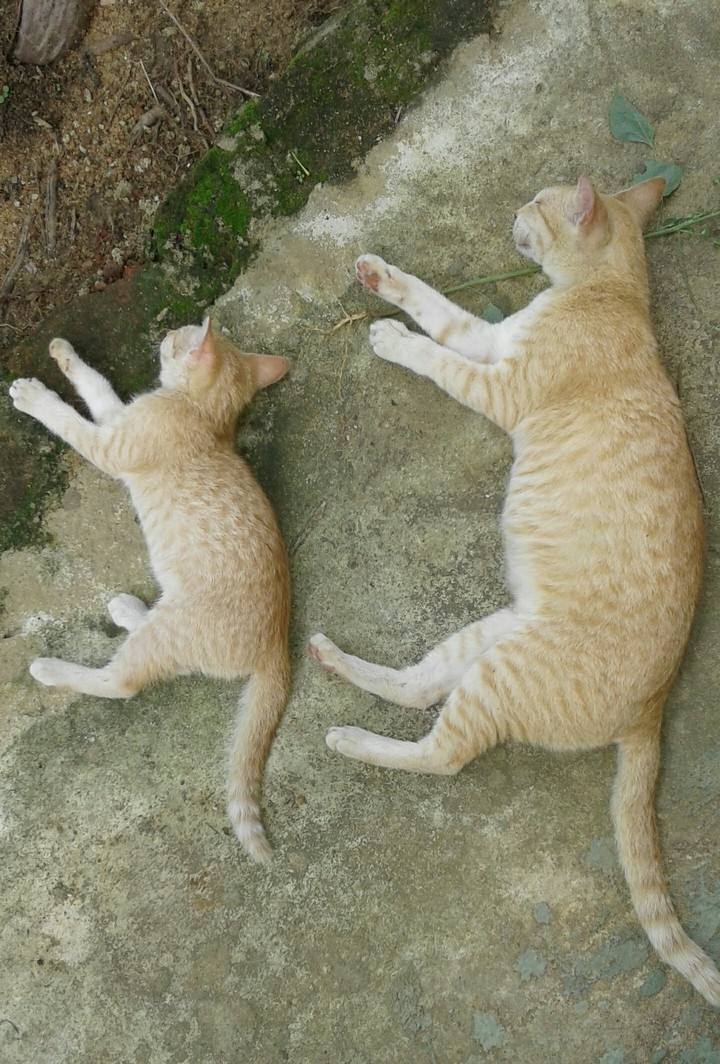 mama & baby