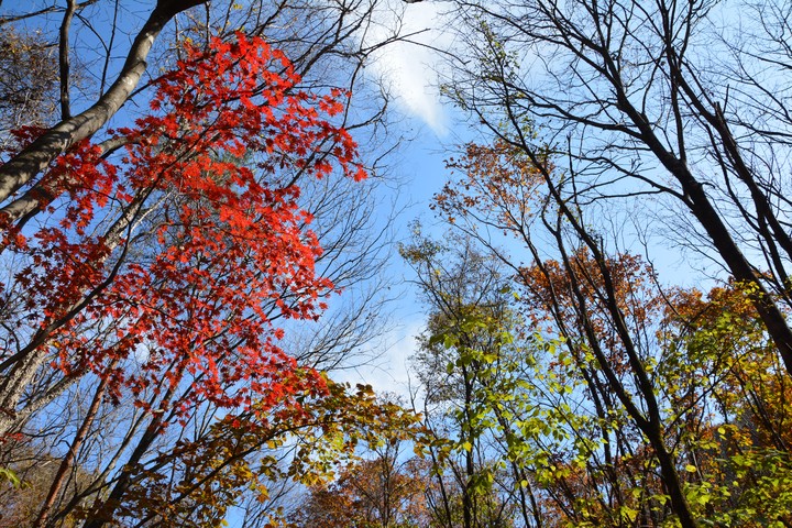 산이미지