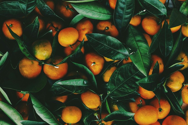 Orange??