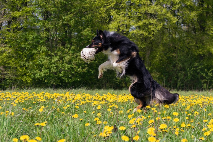 nice catch...