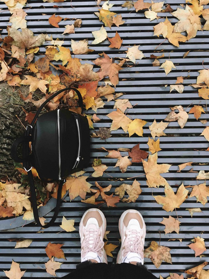 autumn