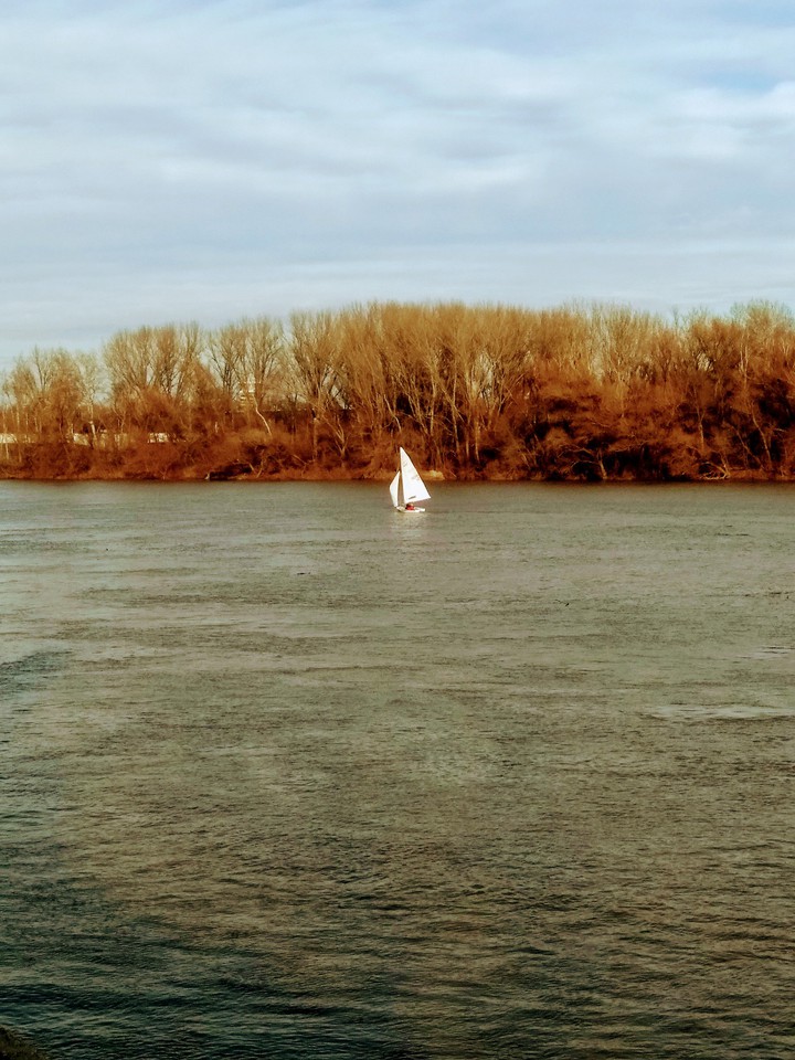 spring in february