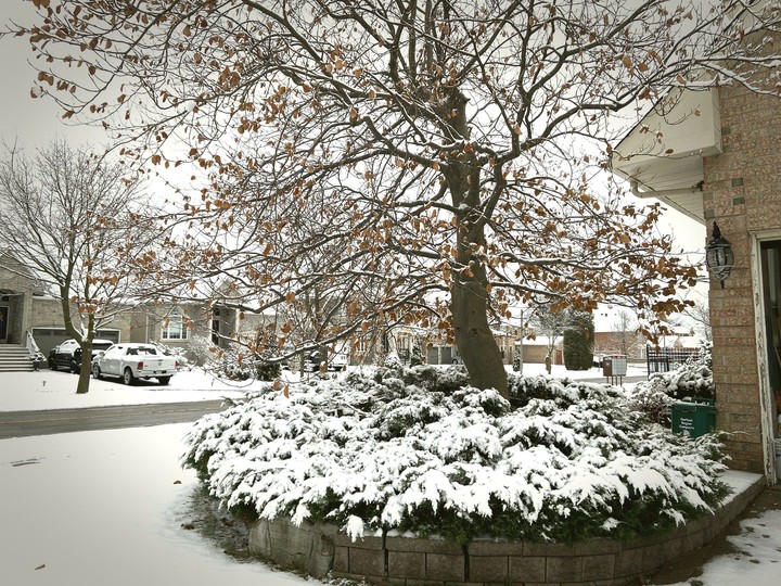 winter