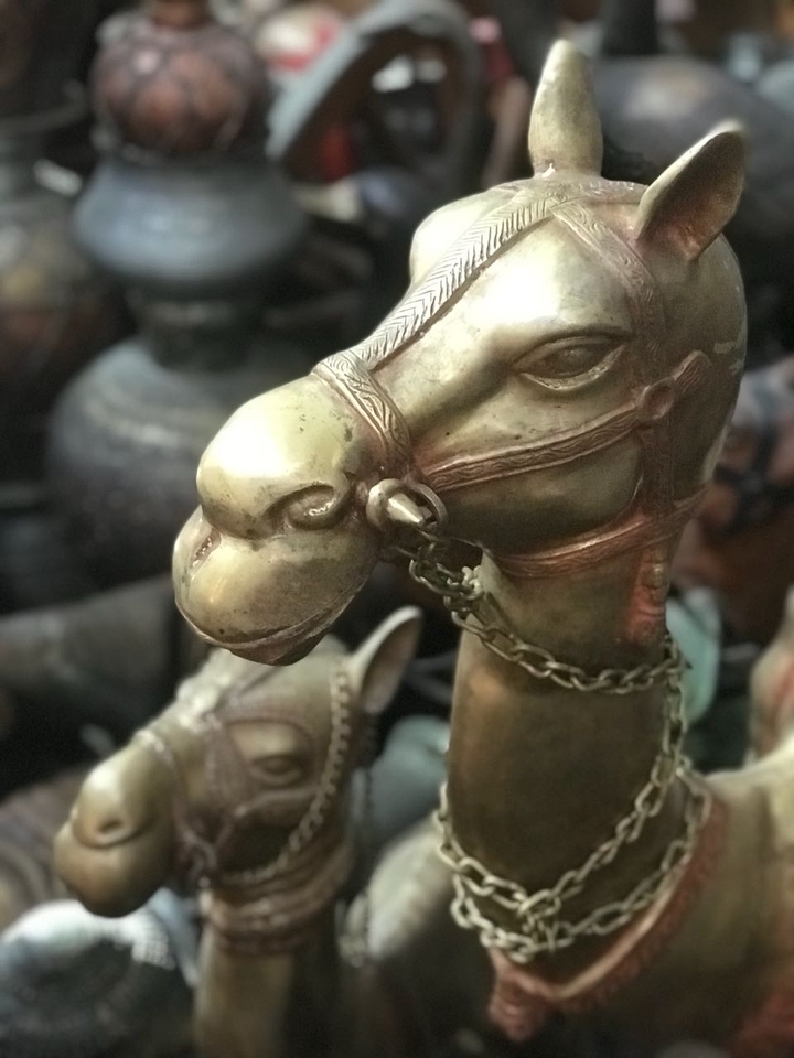 корабль пустыни