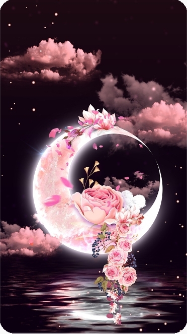 달과꽃