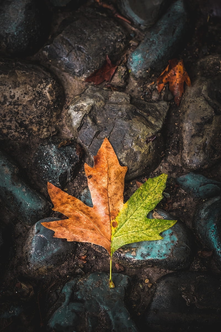 COLOR CHANGE