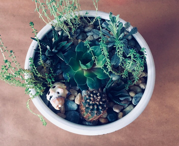 greenhouse 