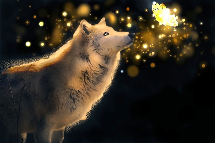Fairy tale