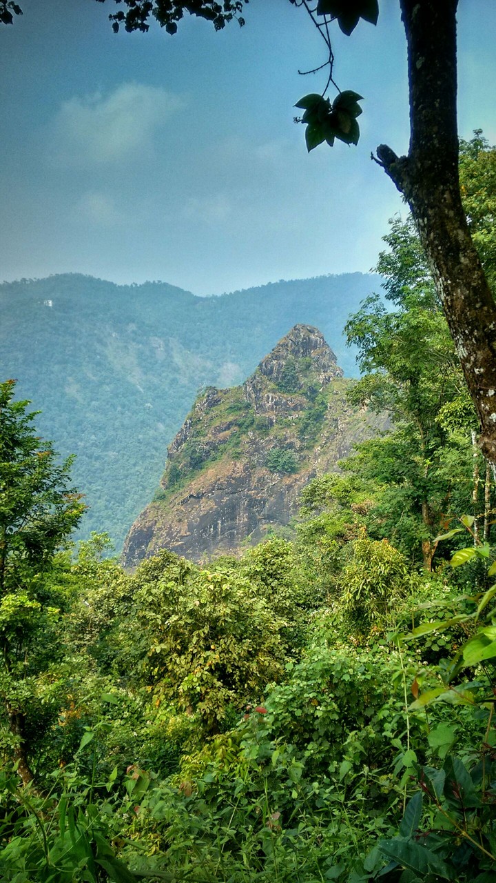 wayanad