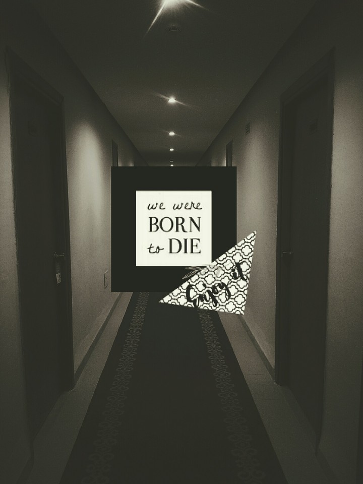 Born to die㊙