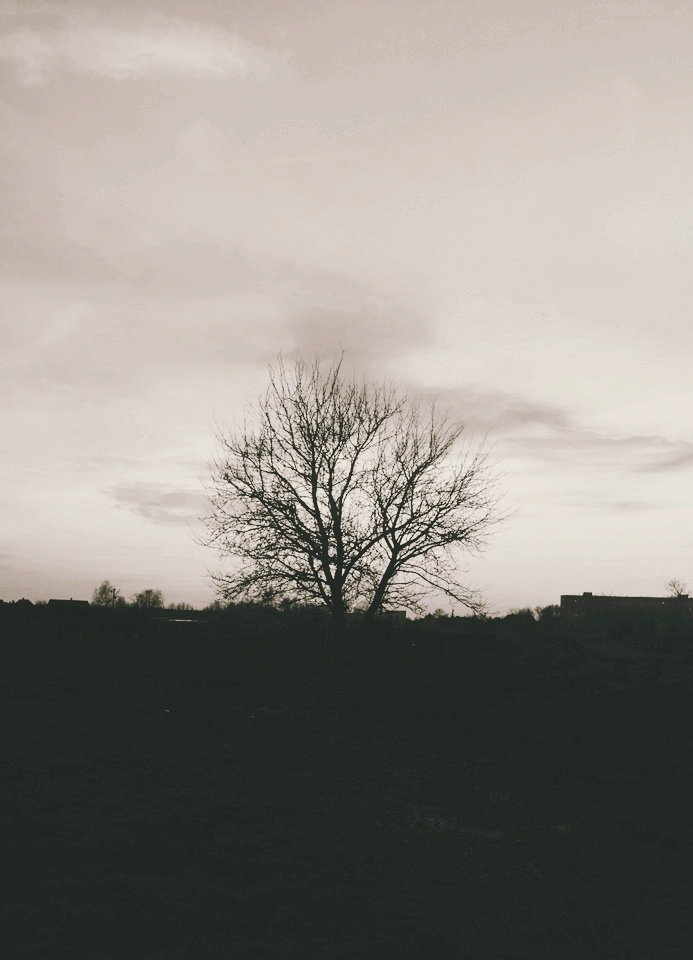 ａｌｏｎｅ  .
