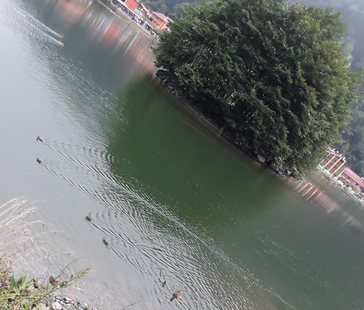 Nature