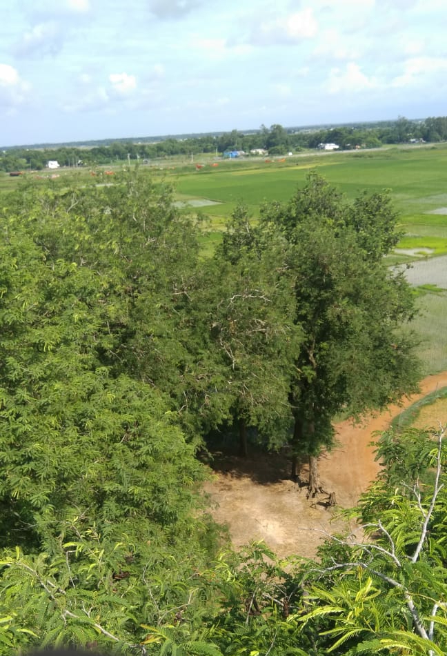 natural scenery