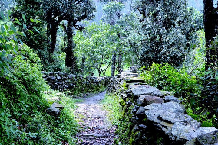 way of  neture