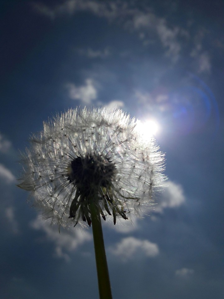 full sky