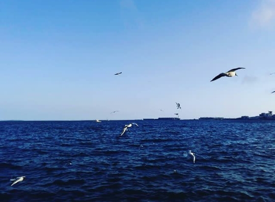 @sevincagayeva