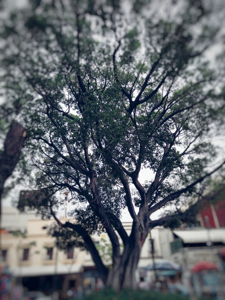 Cuernavaca
