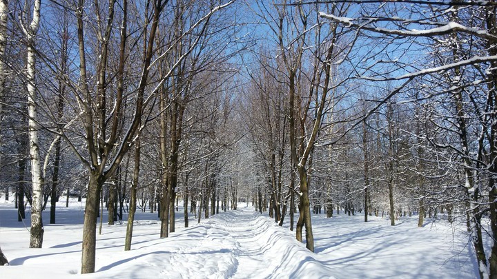 in the park