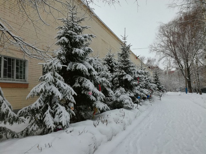 Christmas tree. Winter In Kazan