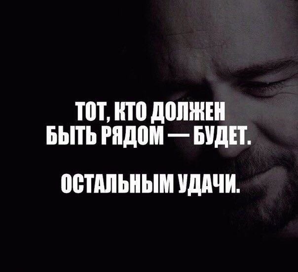 цитата