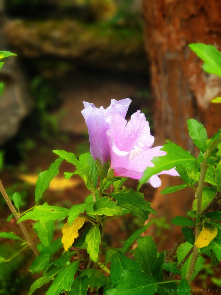 Morning clicks