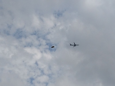 Plane in blue sky