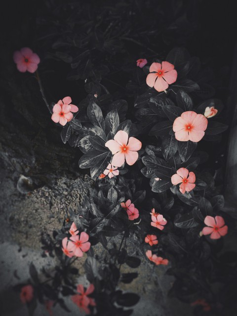 VINTAGE