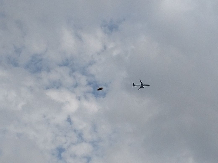 Plane in blue sky