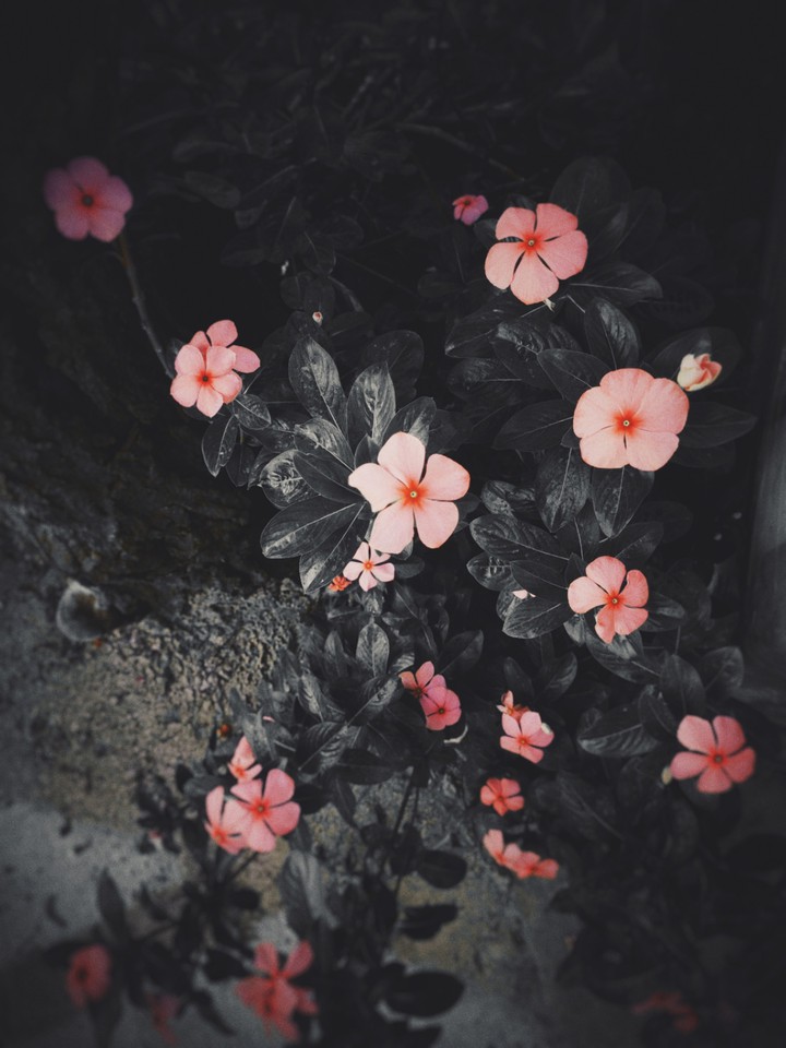 VINTAGE
