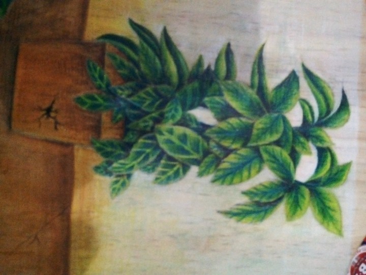 drawing