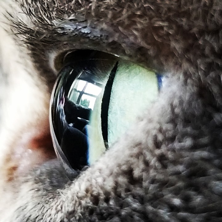 Gaia's eye