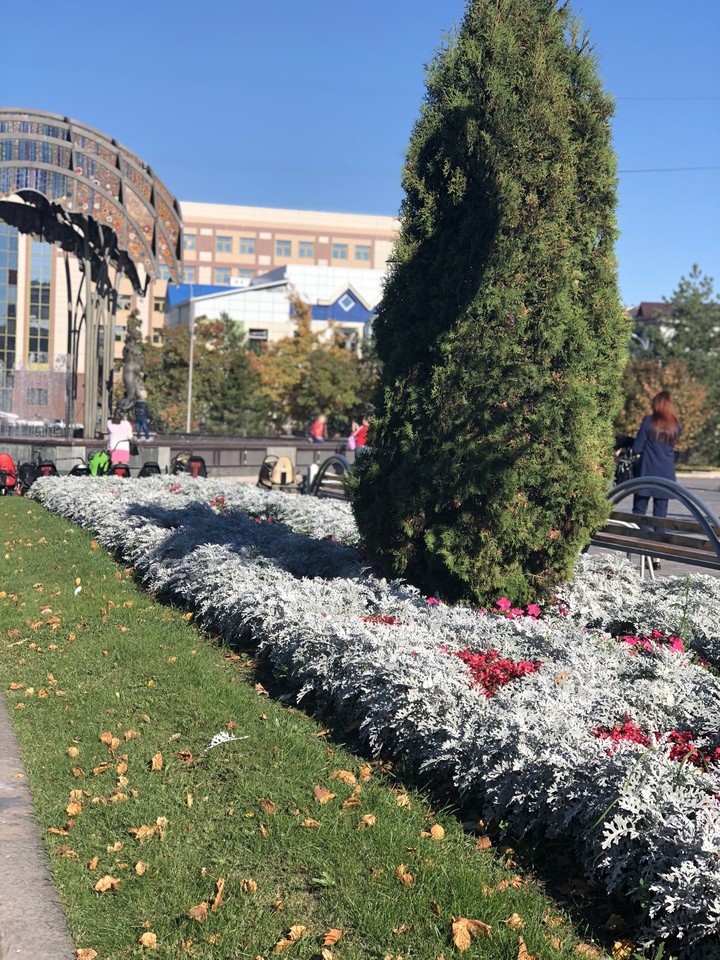 Городской сад Тюмень