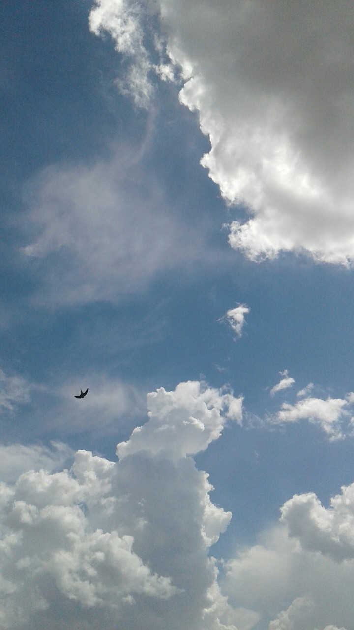 Sky⛅