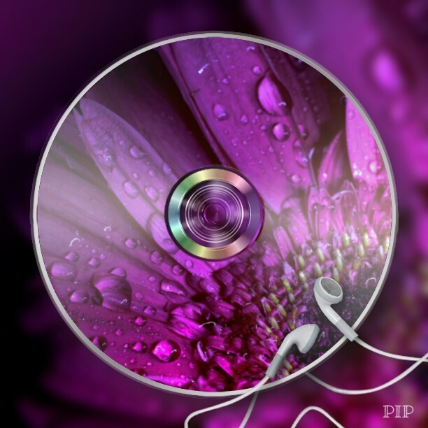 PIP Camera Flower