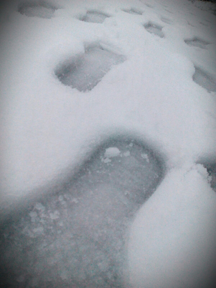 snow